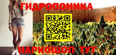 apvp Новозыбков