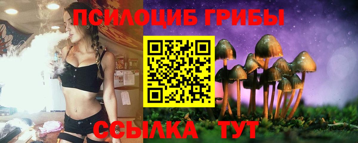 Туймазы  Псилоцибиновые грибы Psilocybe  Псилоцибиновые грибы Psilocybe  Вход с VPN 